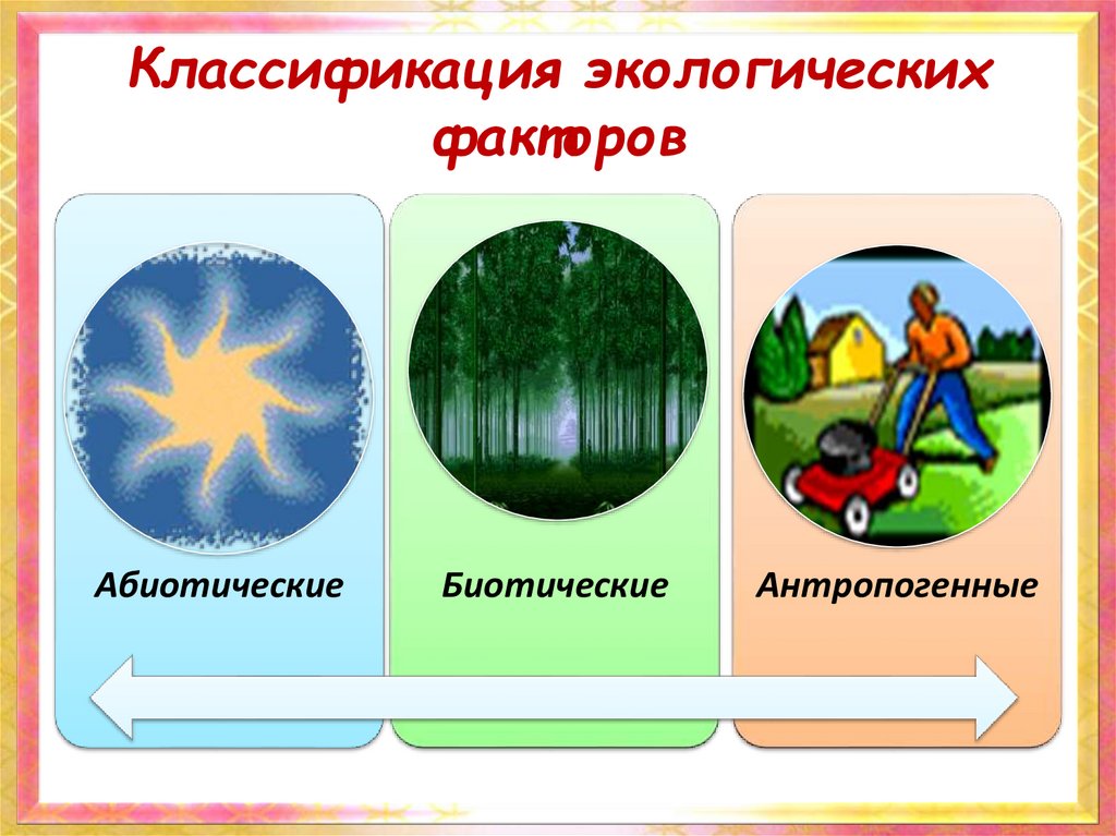 Группы экологических факторов 7 класс. Классификация экологических факторов. Экологические факторы. Классификация факторов окружающей среды. Классификация факторов экология.