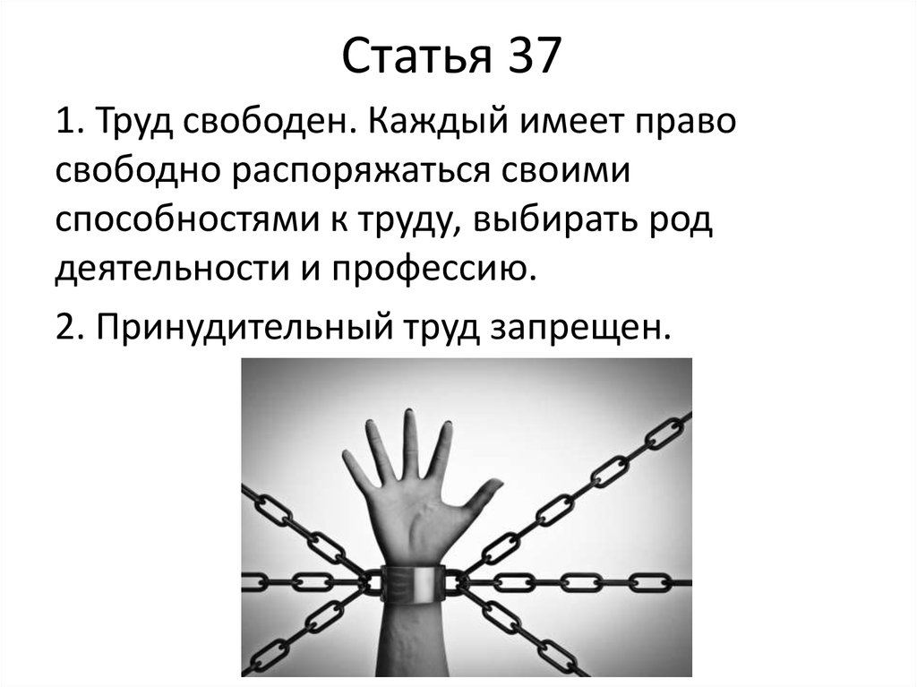 Статья 37