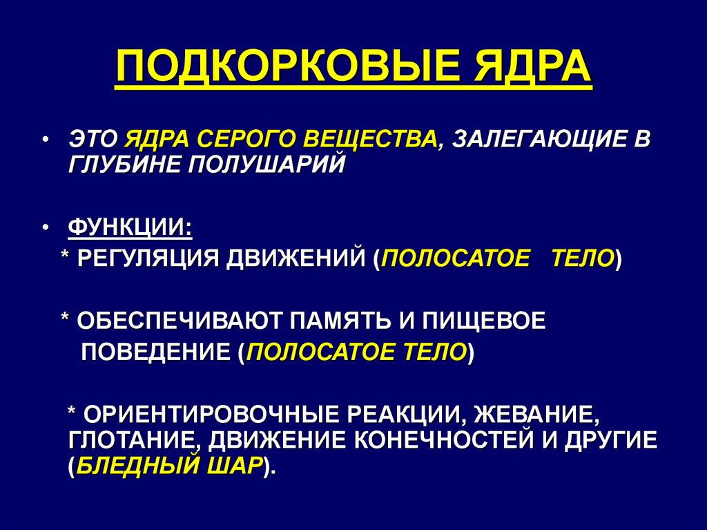 Ядра памяти. Функции базальных ядер. Функции подкорковых ядер. Функции подкорковых структур. Роль базальных ядер в регуляции движения.