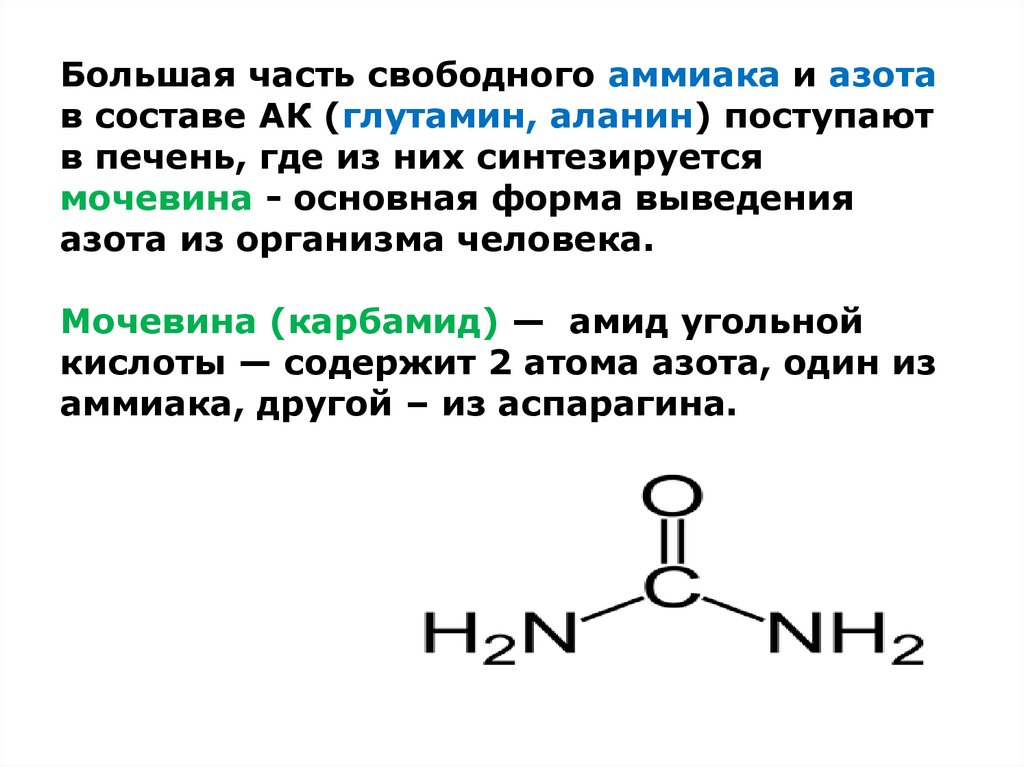 Аланин побочные эффекты. Бета аланин биологическая роль. Аланин формула. Аланин синтезируется из.