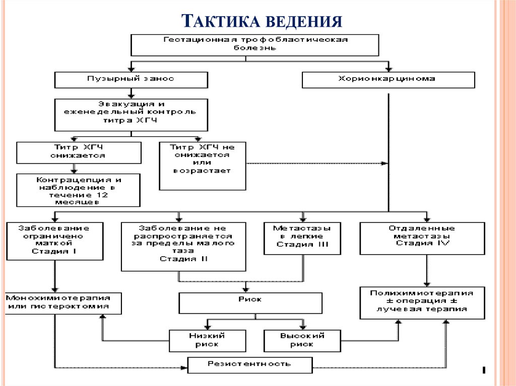 Тактика ведения. Гемолитическая болезнь новорожденных тактика ведения. Тактика ведения ковид пациентов. Схема тактики ведения больного. Тактика при многоплодной тактика ведения.