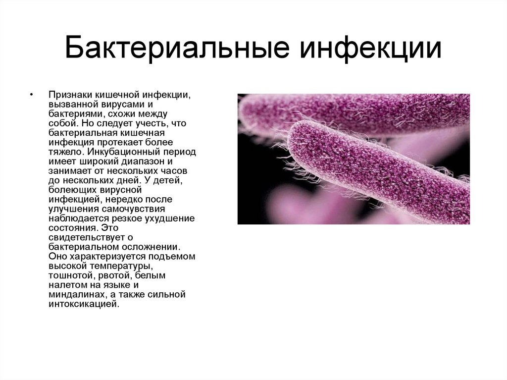 Бактерии примеры болезней. Бактериальная инфекция. Бакталкриалтная инфекций. Инфекционные бактерии. Бактериальные кишечные инфекции.