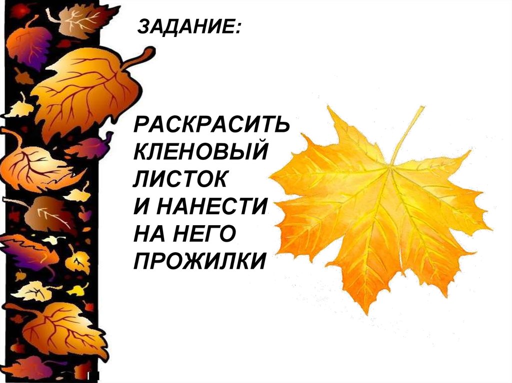 Мастер изображения учит видеть изо 1 класс конспект урока и презентация