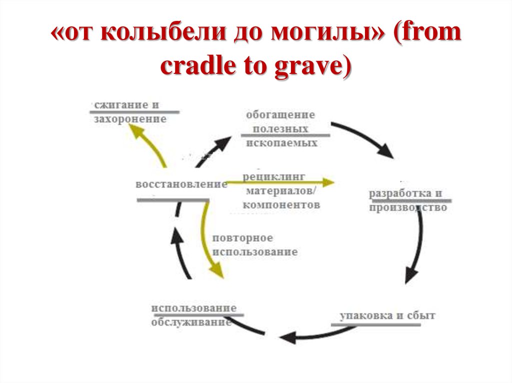 Цикл оценки