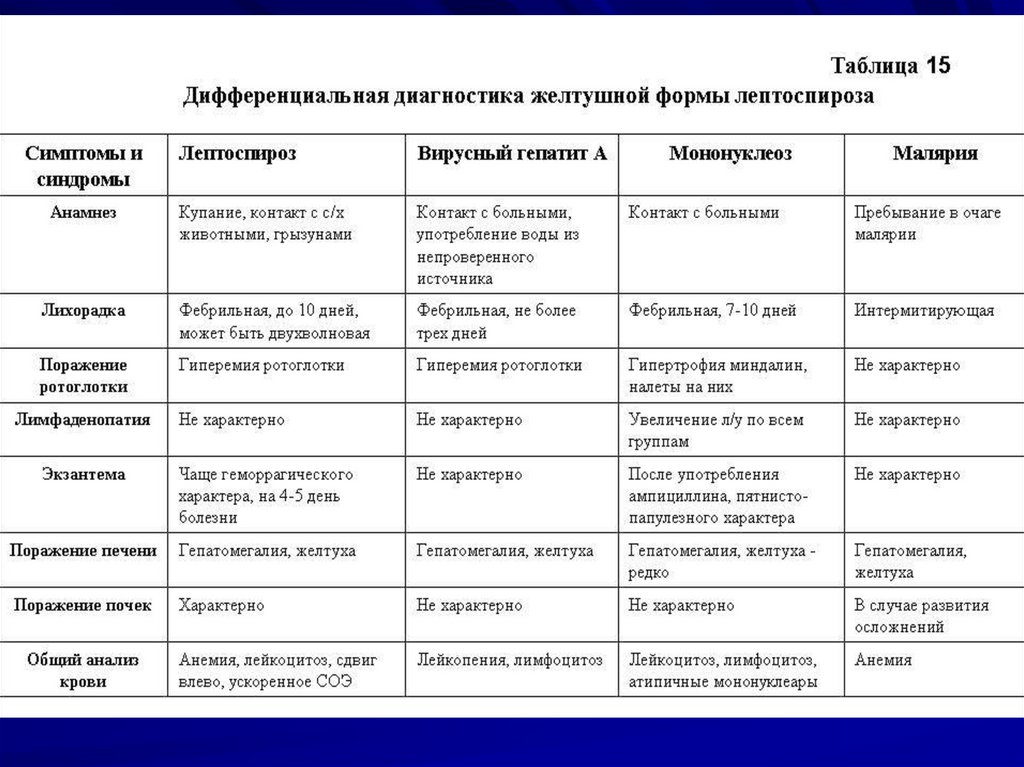 Кем разрабатывается план мероприятий по оздоровлению выявленного очага лептоспироза