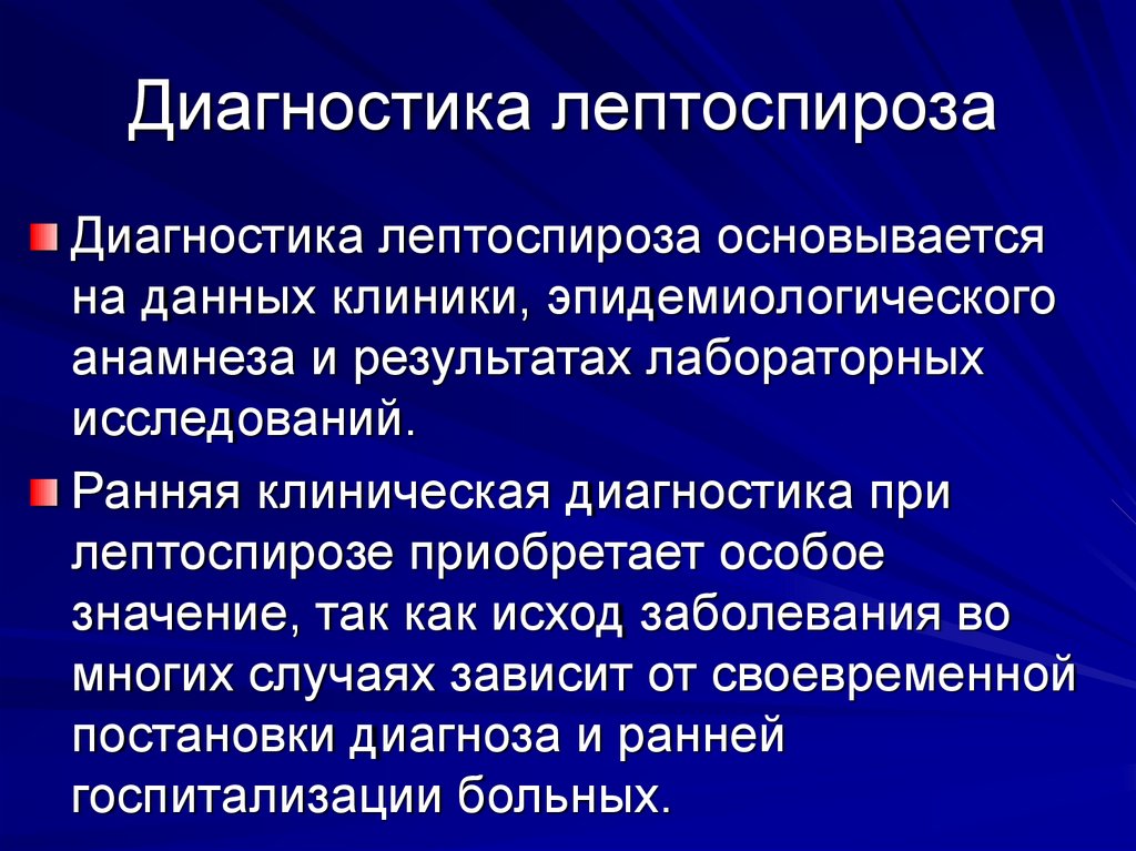 Лептоспироз это что за болезнь. Характерный симптом лептоспироза. Клинические проявления лептоспироза. Профилактика при лептоспирозе. Диагностика лептоспир.