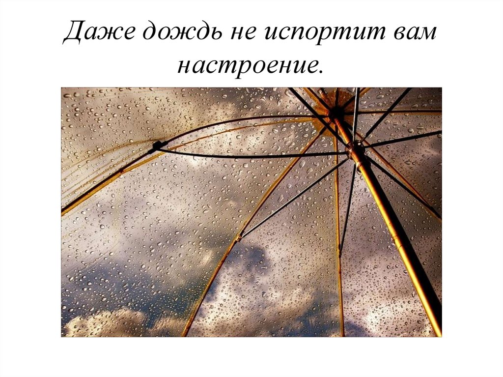 Радоваться нужно просто что живешь даже если ветер даже если дождь картинки с надписью