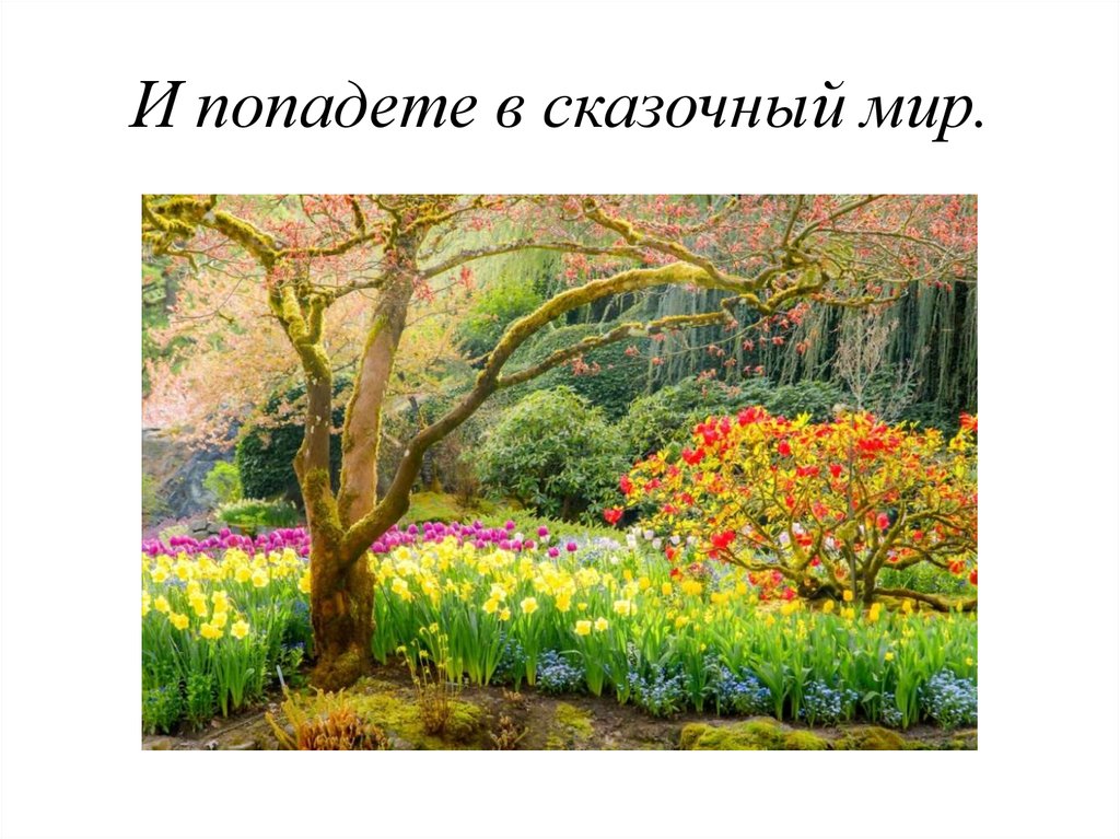 И попадете в сказочный мир.