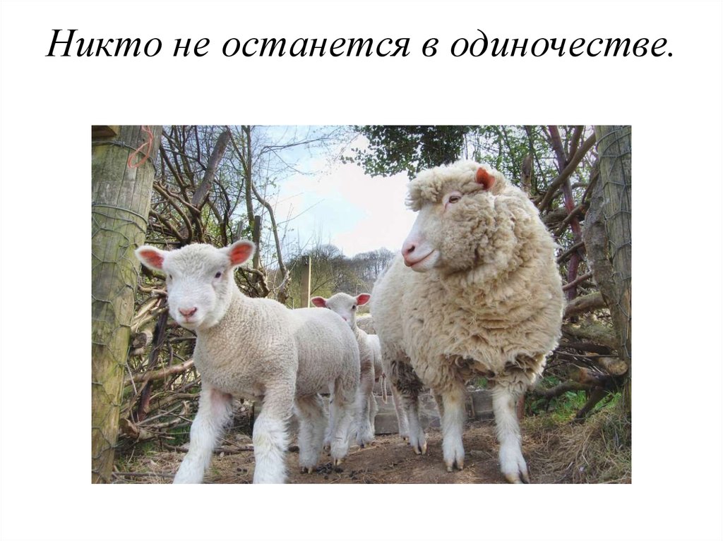 Никто не останется в одиночестве.