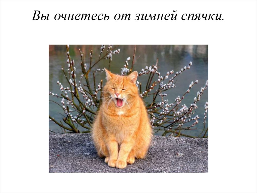 Вы очнетесь от зимней спячки.