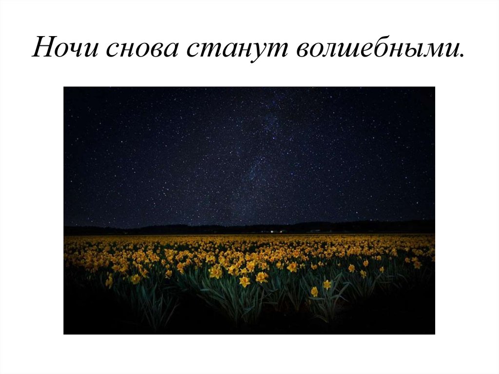 Ночи снова станут волшебными.