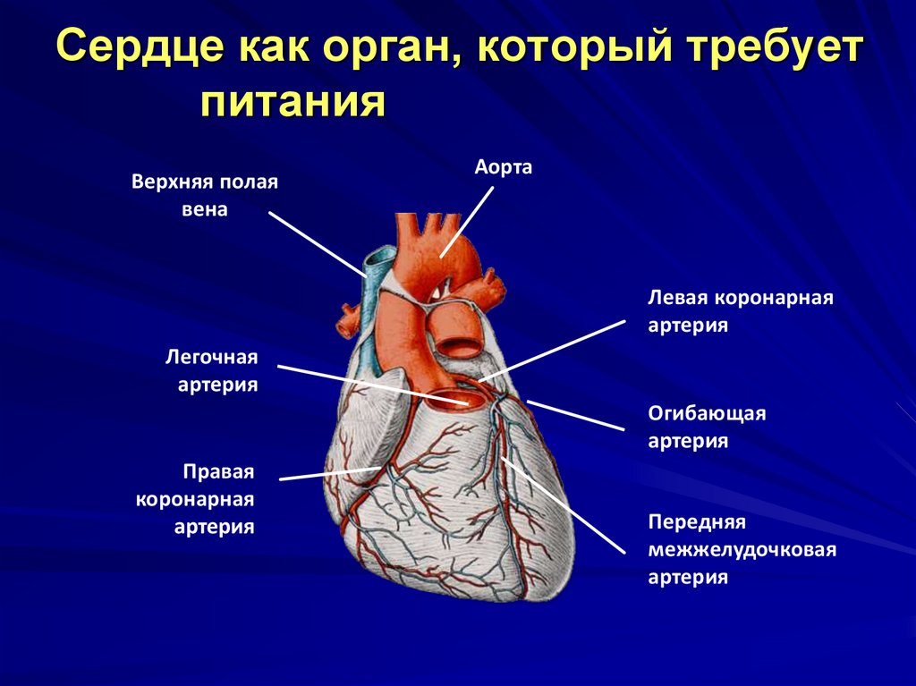 Презентация сестринский процесс при пороках сердца