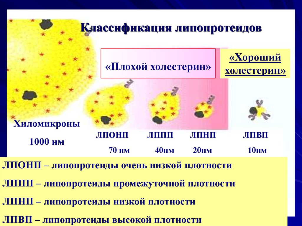 Сестринский уход при атеросклерозе презентация