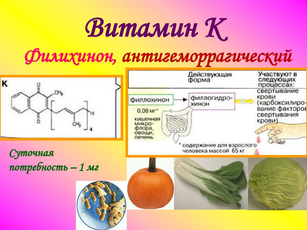 Витамин к презентация биохимия