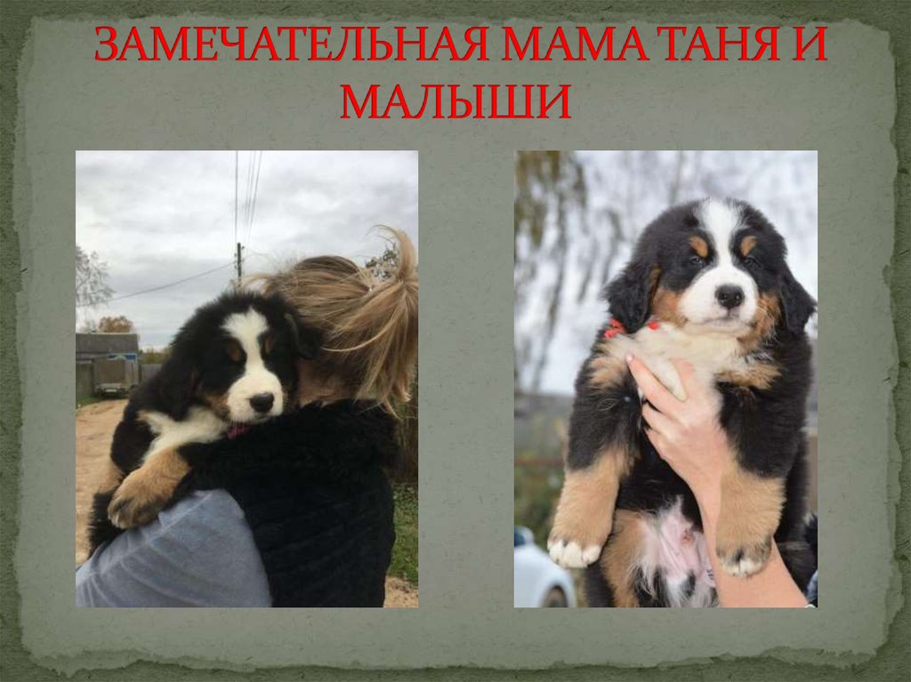 ЗАМЕЧАТЕЛЬНАЯ МАМА ТАНЯ И МАЛЫШИ