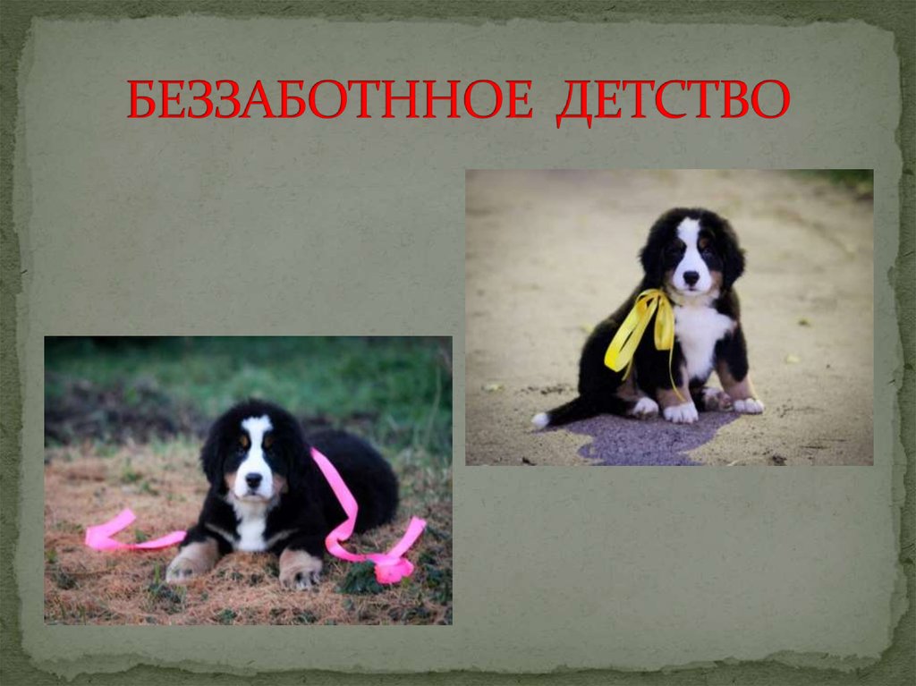 БЕЗЗАБОТННОЕ ДЕТСТВО