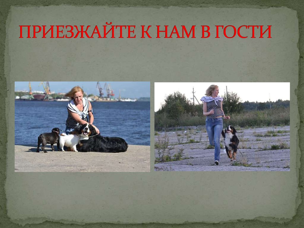 ПРИЕЗЖАЙТЕ К НАМ В ГОСТИ