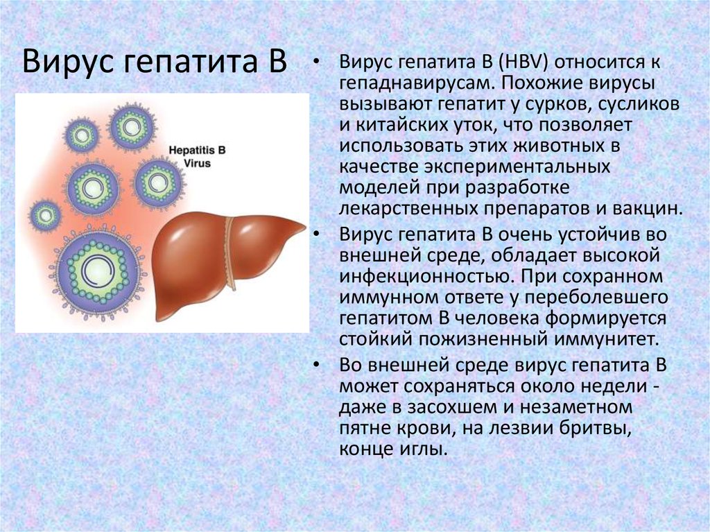 Наличие гепатита в крови. Вирусный гепатит б. Вирус гепатита в.