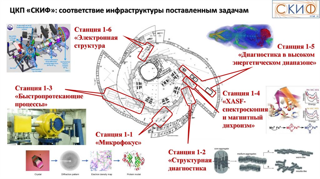 Скиф кольцово проект