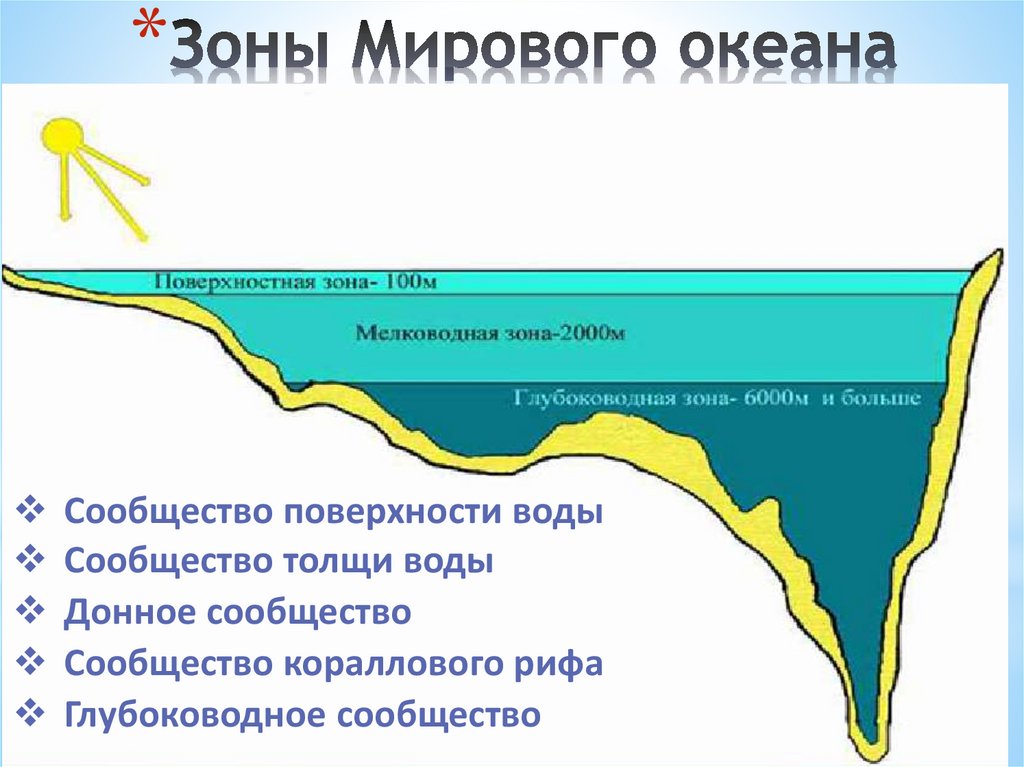 Природные зоны океанов. Зоны океана. Природные зоны океана. Глубоководные зоны мирового океана. Природные пояса мирового океана.