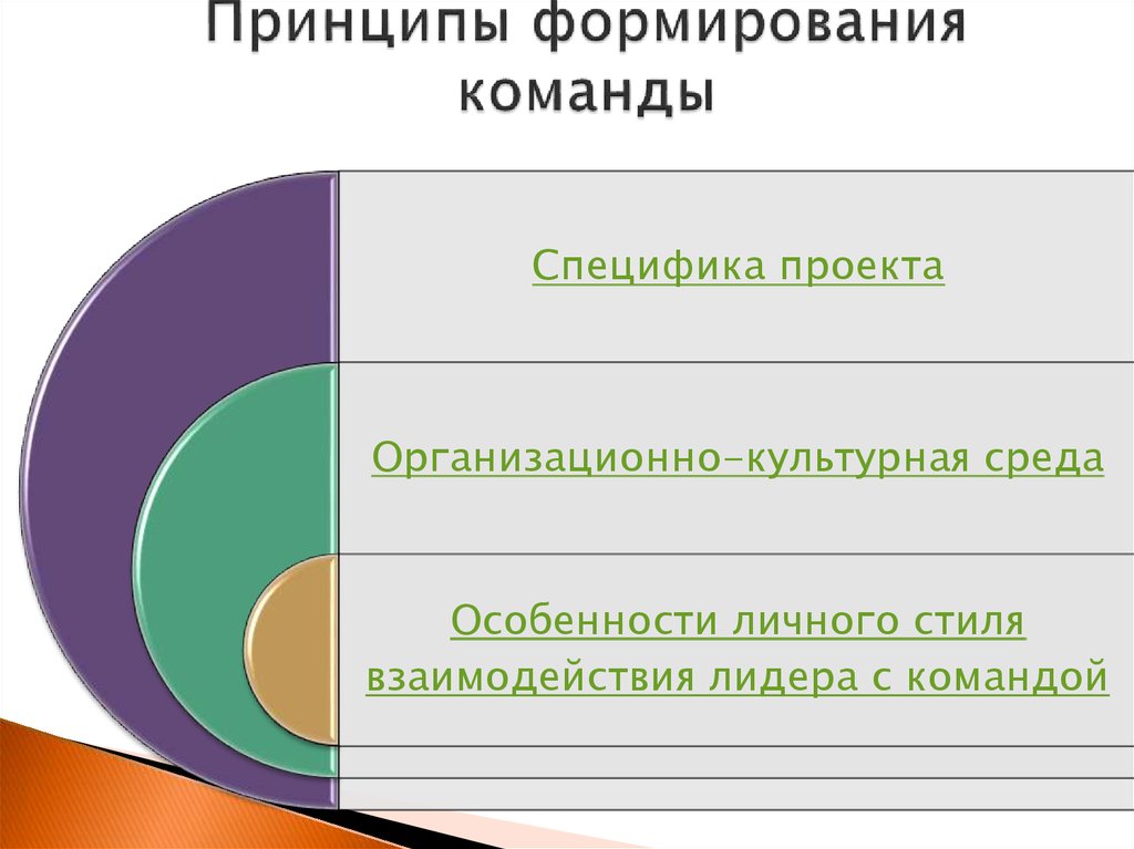 Факторы определяющие принципы формирования команды проекта