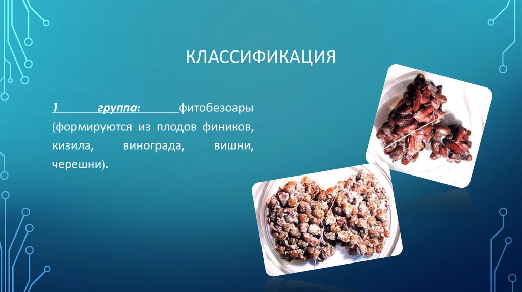 Классификация