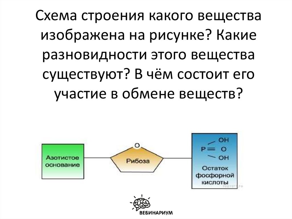 Схема какого вещества изображена на рисунке