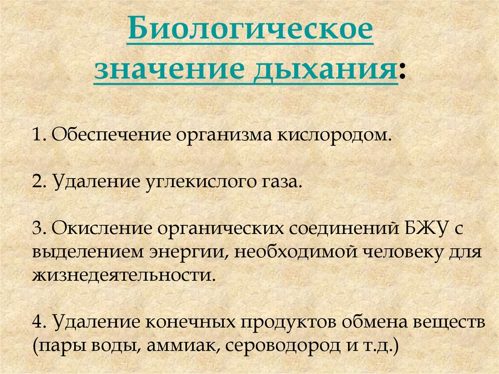 В чем состоит процесс значения дыхания