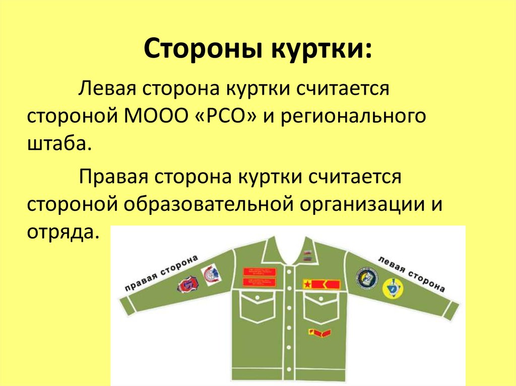 Российские студенческие отряды направления. Виды студенческих отрядов. Структура студенческих отрядов. Структура российских студенческих отрядов. Структура РСО.