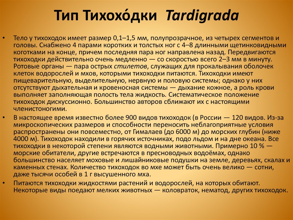 Тип Тихохо́дки  Tardigrada