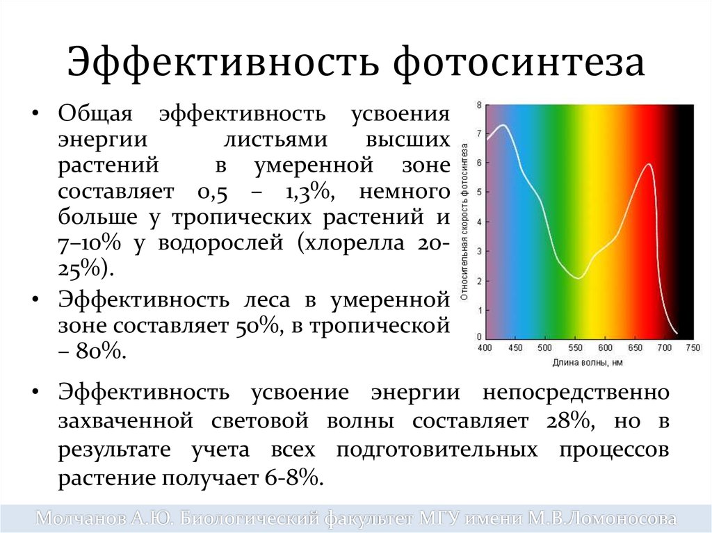 Составляющая зона. Эффективность усвоения энергии это. Всасывания энергии. Эффективность усвоения энергии это определение. Эффективность усвоения энергии это в экологии.