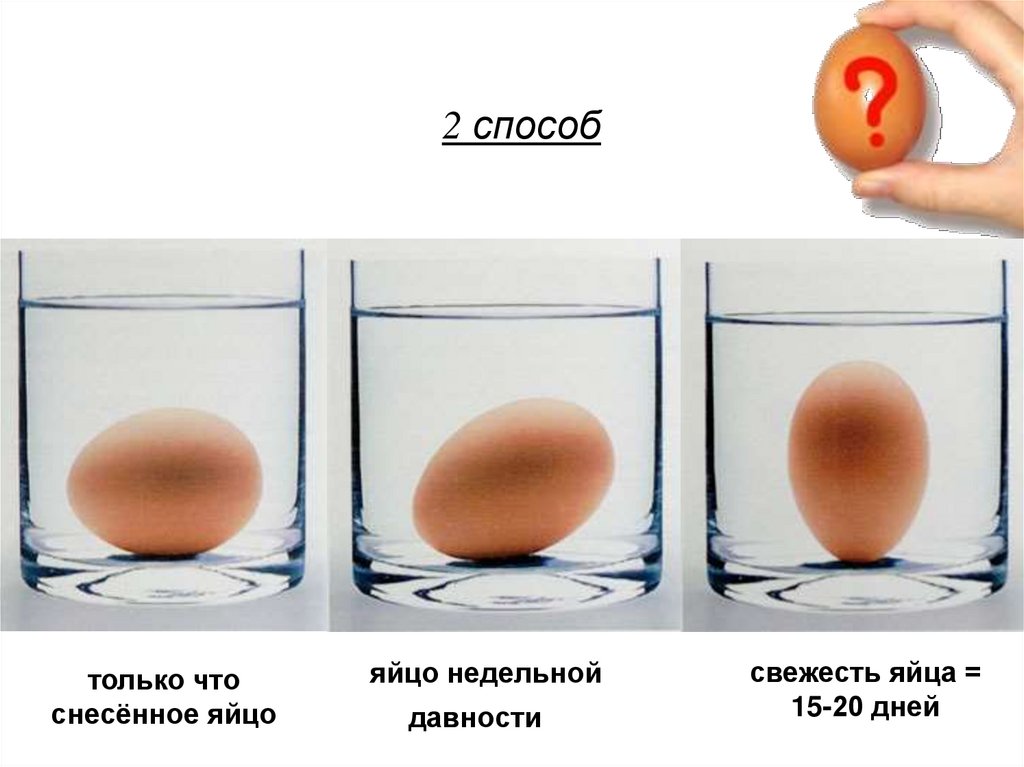 Почему яйцо всплывает в воде при варке