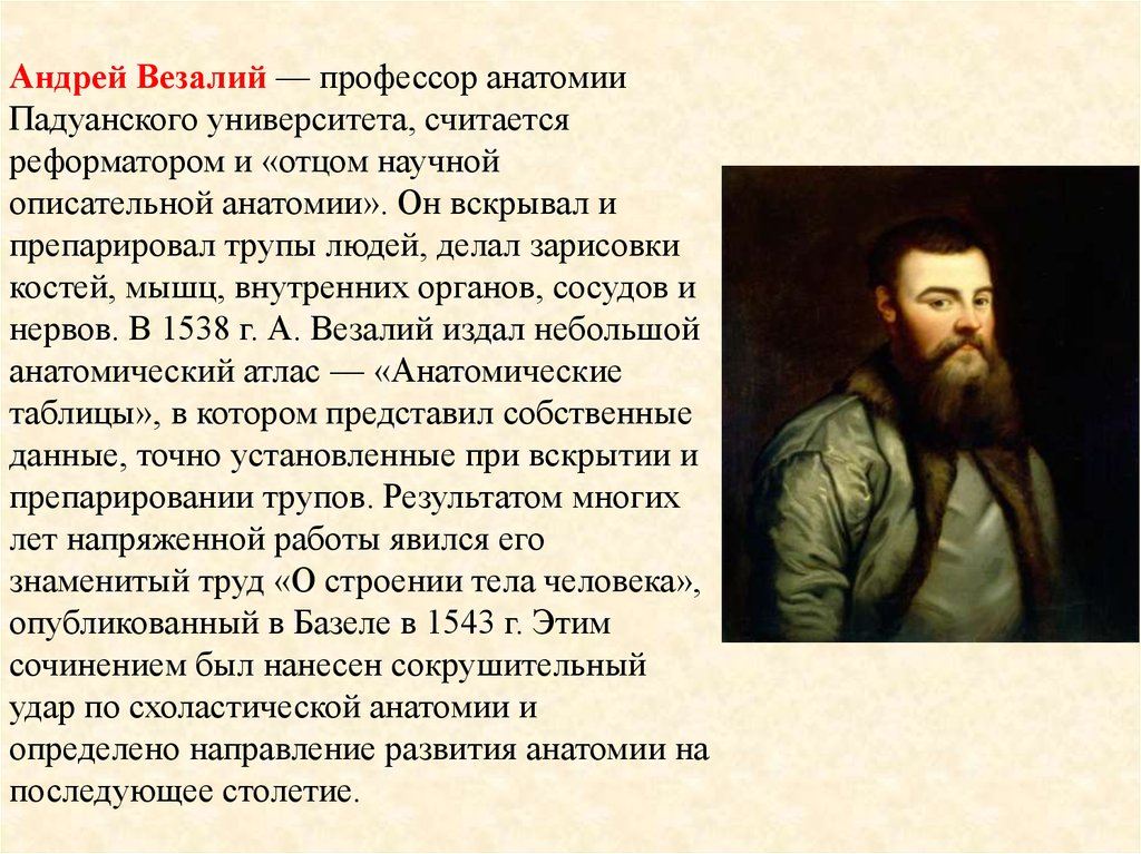 Везалий открытия. Везалий вклад в анатомию. Андреас Везалий вклад. Андреас Везалий основоположник.