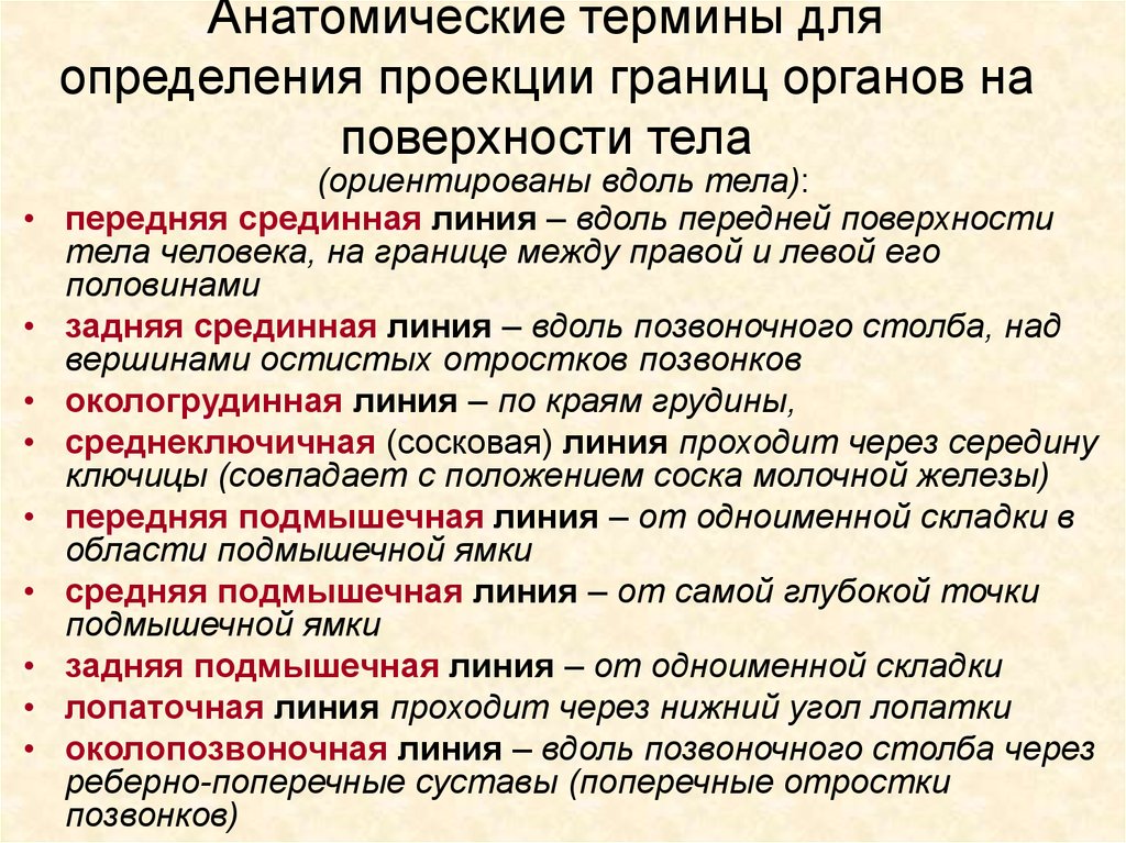 Е терминология. Анатомическая терминология. Анатомия термины. Анатомия анатомические термины. Терминология в анатомии человека.