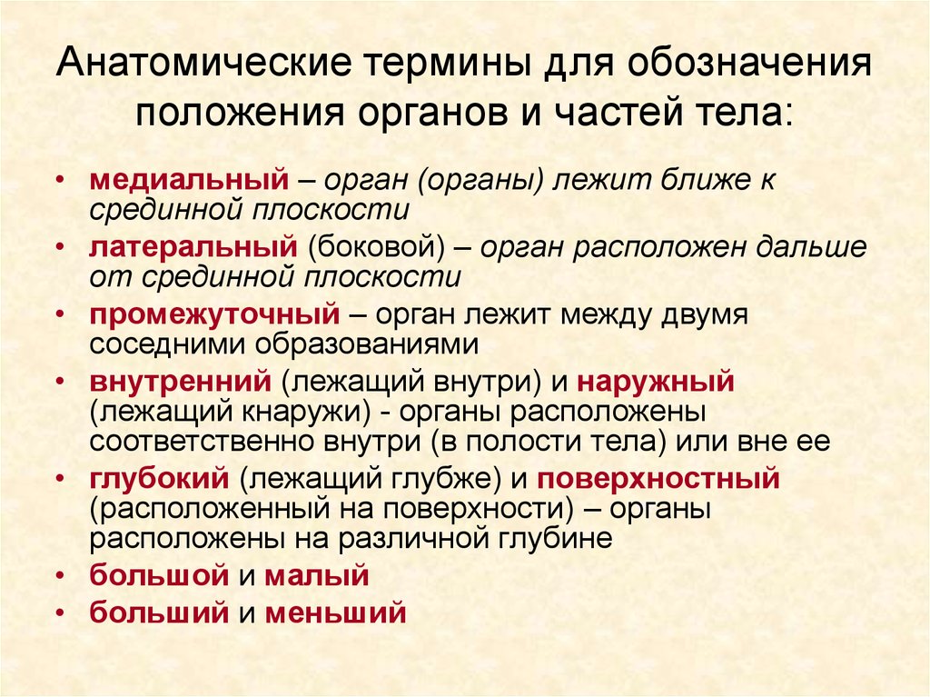 Значение следующих понятий. Термины для обозначения положения органов и частей тела. Основные термины анатомии. Термины по анатомии человека. Анатомические термины положения.