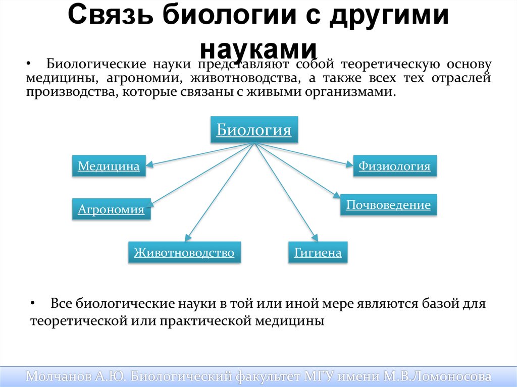 Взаимосвязь фактов. Связь биологии с другими науками кратко. Связь биологии с другими науками таблица. Связь биологии с другими науками 5 класс. Схема интеграции биологии с другими науками.