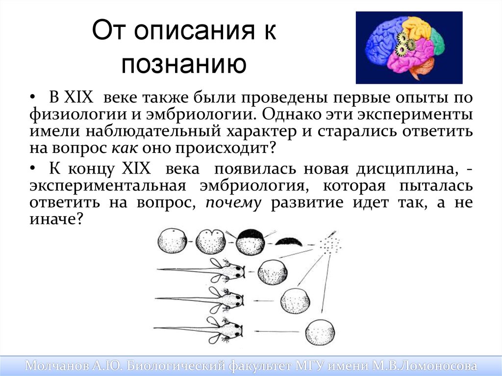 Описание познания