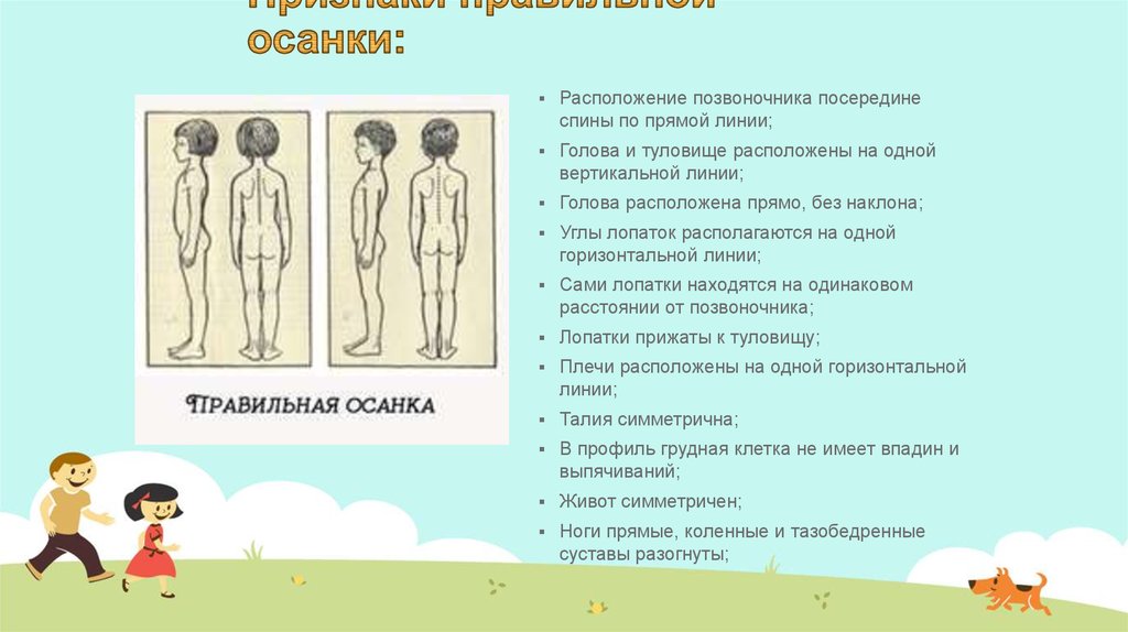 Признаки правильной осанки. 5 Признаков правильной осанки. Назовите признаки правильной осанки. Признаки характеризующие правильную осанку.