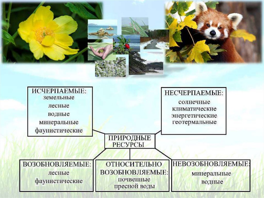 Истощение природных ресурсов презентация
