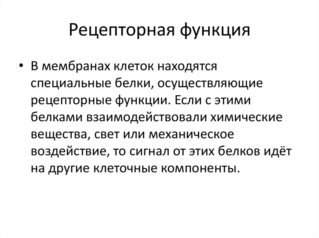 Функции мембранных белков