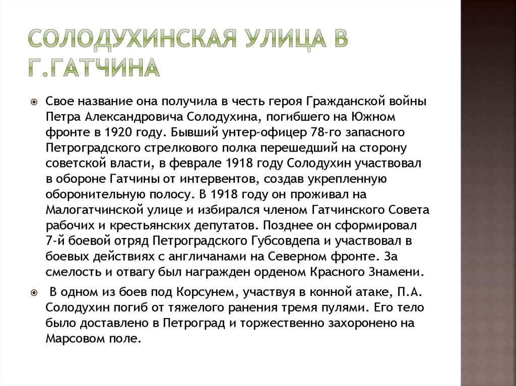 Солодухинская улица в г.Гатчина