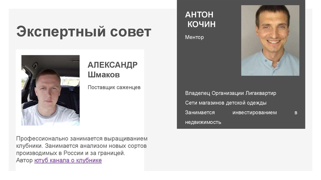 Экспертный совет