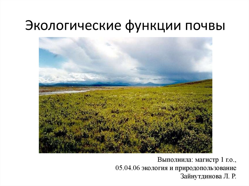 Функции почвы. Экологические функции почв. Экологическая роль почвы. Виды экологических функций почвы. Классификации экологических функций почвенного Покрова.