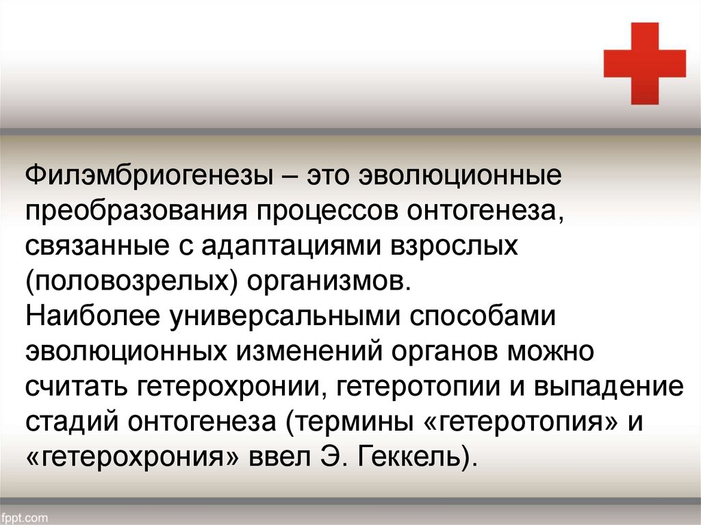 Филэмбриогенез. Гетерохрония и гетеротопия. Филэмбриогенез это процесс.