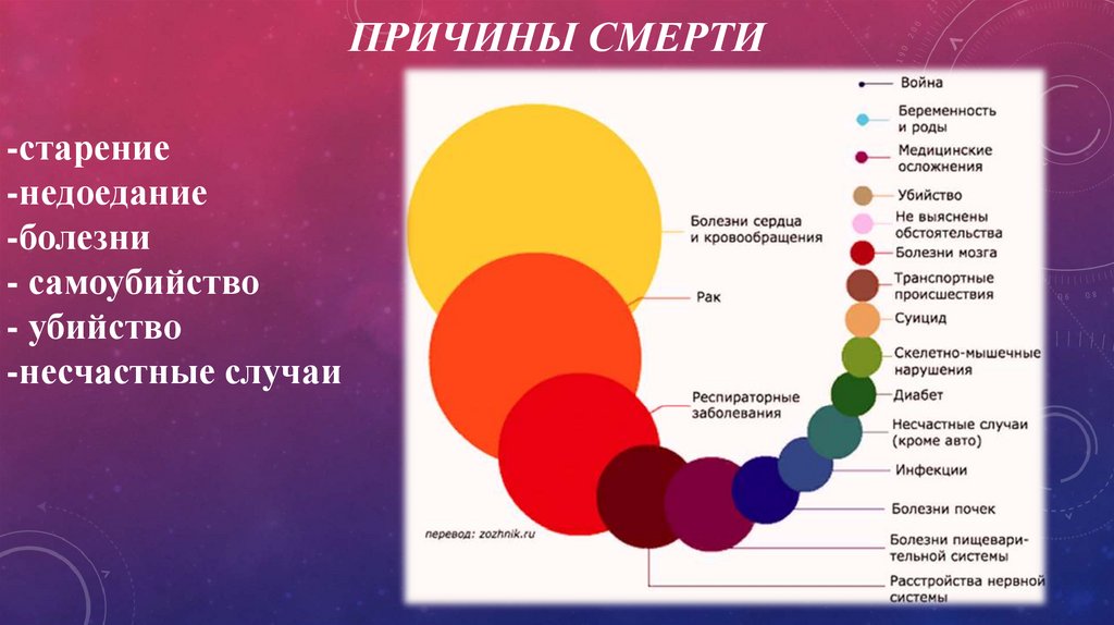 Философия смерти презентация