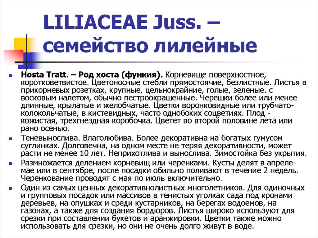 LILIACEAE Juss. – семейство лилейные