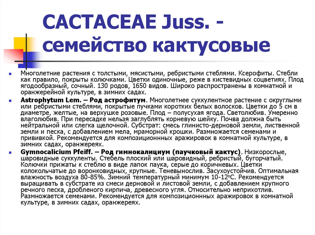 CACTACEAE Juss. - cемейство кактусовые