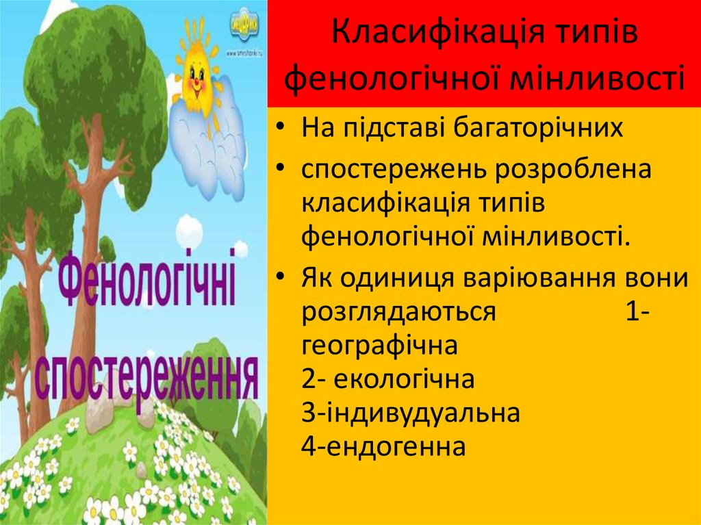 Класифікація типів фенологічної мінливості