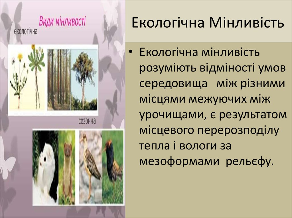 Екологічна Мінливість