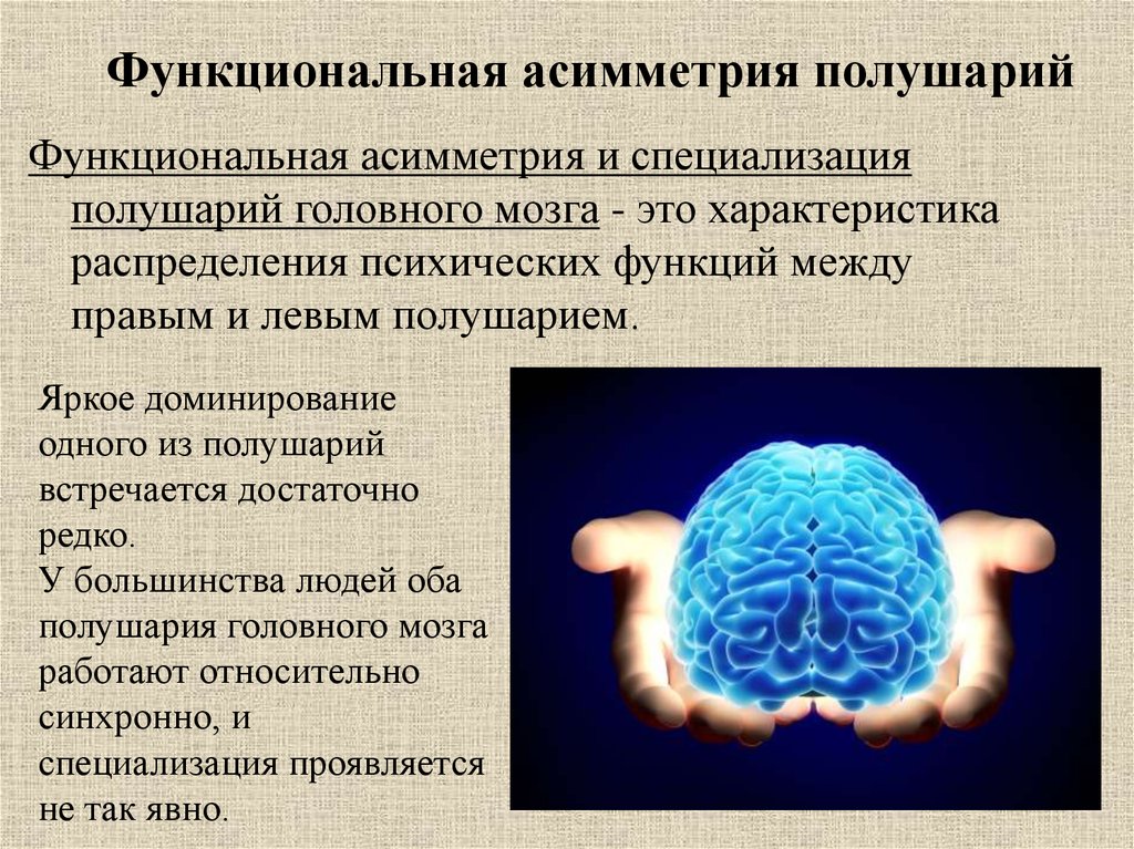 Расстройство полушарий. Функциональная асимметрия больших полушарий. Функциональная межполушарная асимметрия головного мозга это. Функциональная асимметрия полушарий головного мозга. Функциональная асимметрия коры больших полушарий.